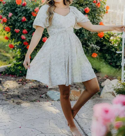 Mikarose Vibrance Mini Dress In Vanilla