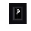 Mikasa Glossy Gallery Wall Frame In Black