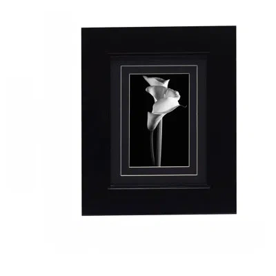 Mikasa Glossy Gallery Wall Frame In Black