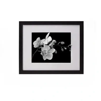 Mikasa Grooved Gallery Wall Frame In Multi