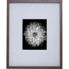 Mikasa Matted Gallery Wall Frame In Multi
