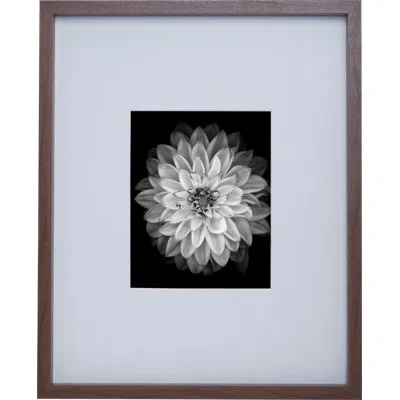 Mikasa Matted Gallery Wall Frame In Multi