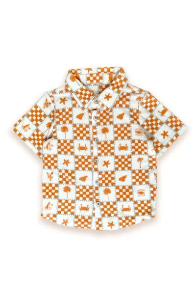 Miki Miette Kids'  Jerry Short Sleeve Buttondown In Brown
