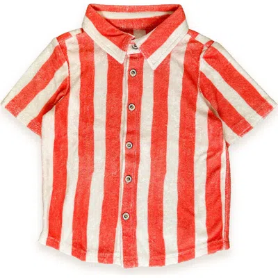Miki Miette Babies'  Jerry Short Sleeve Buttondown In Red