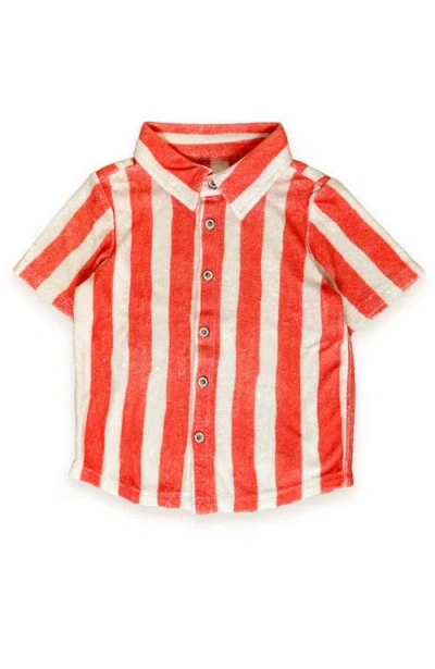 Miki Miette Kids'  Jerry Short Sleeve Buttondown In Red