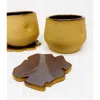 Mikkarbo Freckles Cup Set