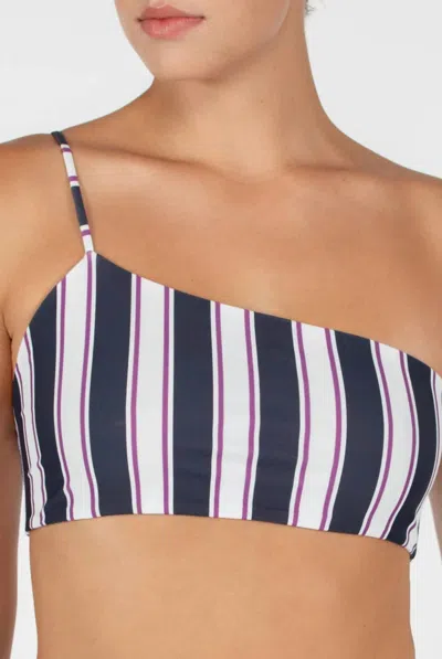 Mikoh Albi Top In Cabana Stripe In Multi