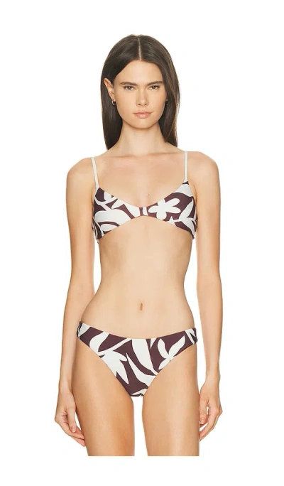 Mikoh Aster Bikini Top In Purple