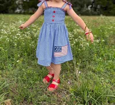 Mila & Rose Kids' Girls 4th Of July Twirl Dress In Blue