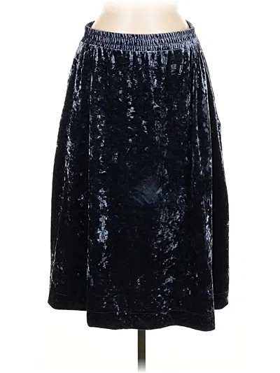 Pre-owned Mila Casual Skirt In Blue