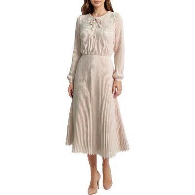 Mila Mae Long Sleeve Pleated Maxi Dress In Multi