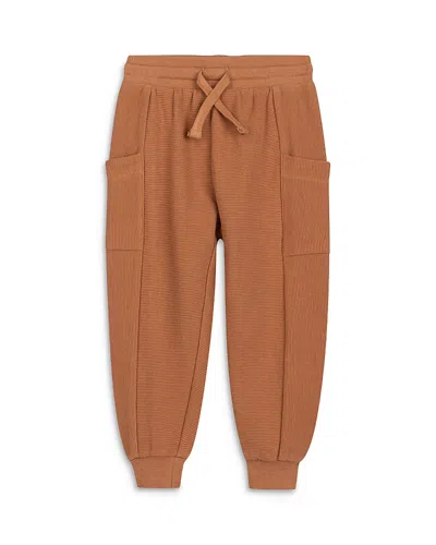 Miles The Label Boys' Copper Cotton Ottoman Joggers - Little Kid In Brown Leather