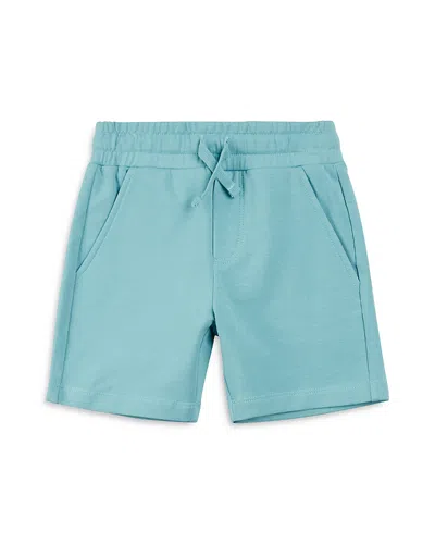 Miles The Label Boys' Reef Terry Shorts - Little Kid, Big Kid In Turquoise