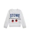 Miles The Label Boys' Stowe Knit Sweater - Little Kid In Gray