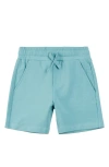 Miles The Label Boys' Reef Terry Shorts - Little Kid, Big Kid In Turquoise