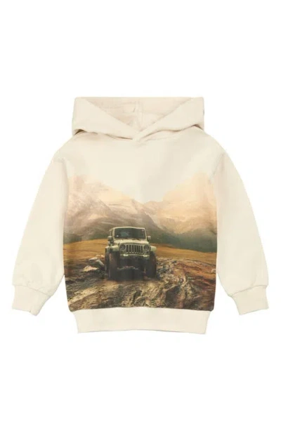 Miles The Label Kids' Trail & Trek Cotton Graphic Hoodie In Neutral