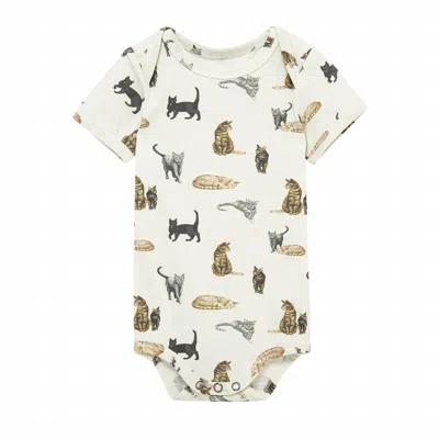 Milkbarn Kids' Baby's Cat Cotton Stretch Short Sleeve One Piece In Cream In Neutral