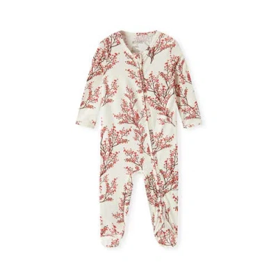 Milkbarn Babies'  Cotton Stretch Zipper Footed Romper In Multi