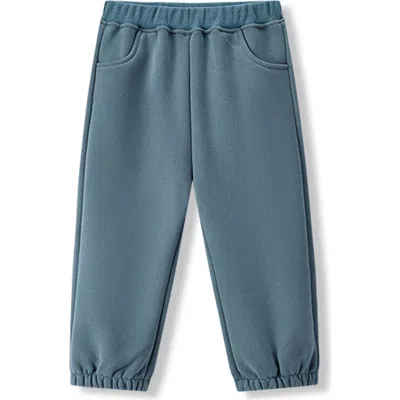 Milkbarn Kids'  Cozy Sweatpants In Blue
