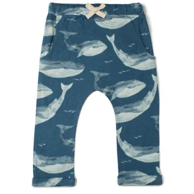 Milkbarn Kids'  Jogger In Blue
