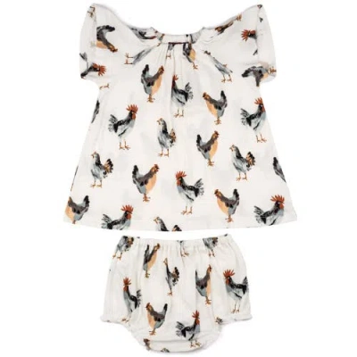 Milkbarn Babies'  Organic Cotton Dress And Bloomer Set
