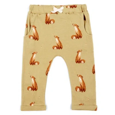 Milkbarn Kids'  Organic Cotton Jogger In Brown