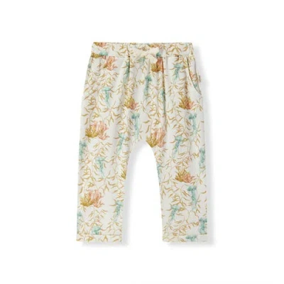 Milkbarn Babies'  Organic Cotton Jogger In Neutral