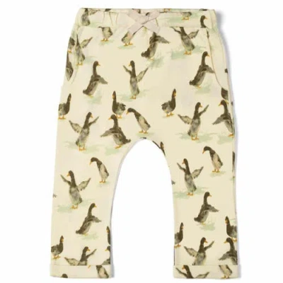 Milkbarn Kids'  Organic Cotton Jogger In Yellow