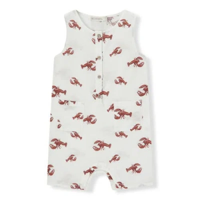 Milkbarn Babies'  Tank Top Shortall In Multi