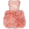 Milla Appliqud Organza Coral Mini Dress In Coral