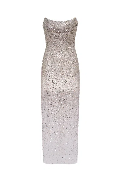 Milla Entrance-worthy Semi-sheer Sequined Silver Maxi Dress