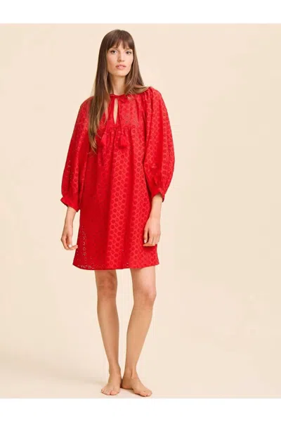 Mille Daisy Dress In Scarlet Eyelet In Multi