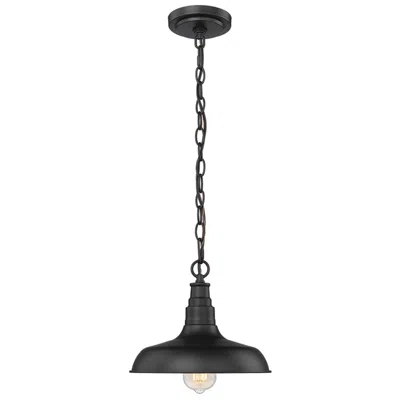 Millennium Lighting 1 Light Outdoor Pendant Powder Coat Black