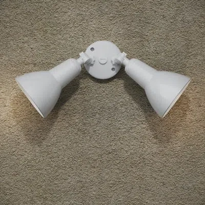 Millennium Lighting 2 - Head Hardwired Outdoor Security Flood Light In Matte White