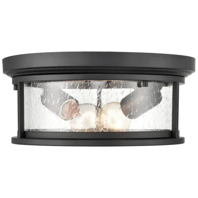 Millennium Lighting Bresley 2 Light Outdoor Flush Mount Black