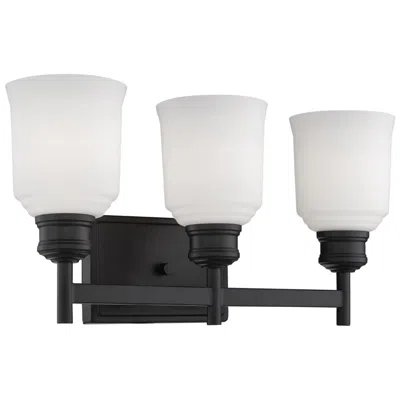 Millennium Lighting Burbank 3-light Vanity Light In Matte Black