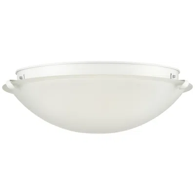 Millennium Lighting Millennium  Flushmount Ceiling Light Matte White