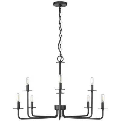 Millennium Lighting Millennium Marceline Chandelier Ceiling Light  Black