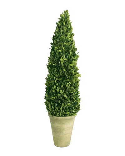 Mills Floral 16in Topiary In Green