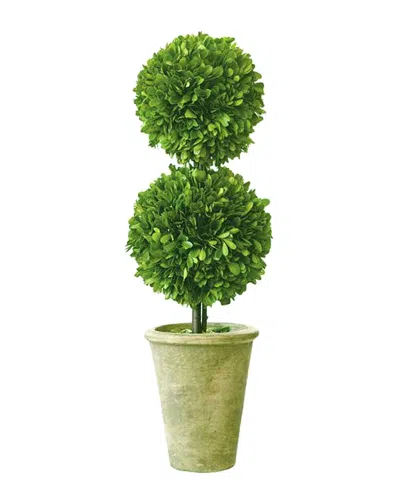 Mills Floral 20in Boxwood Topiary In Green