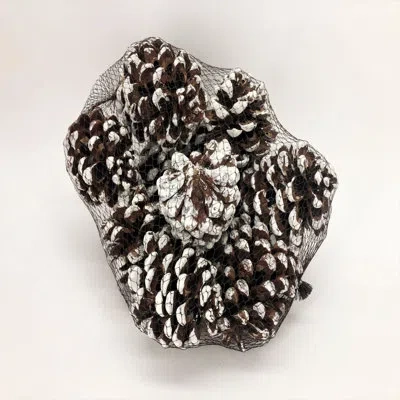 Mills Floral Pine Cone Vase Filler In White
