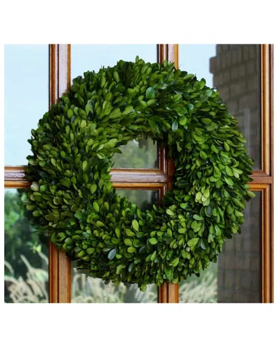 Mills Floral Preserved Boxwood Wreath In Green