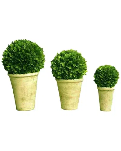 Mills Floral Set Of 3 Boxwood Balls In Beige