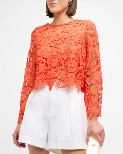 Milly Catelyn Cropped Floral Lace Top In Orange