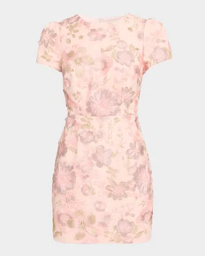 Milly Daisy Floral-embroidered Mesh Mini Dress In Pink