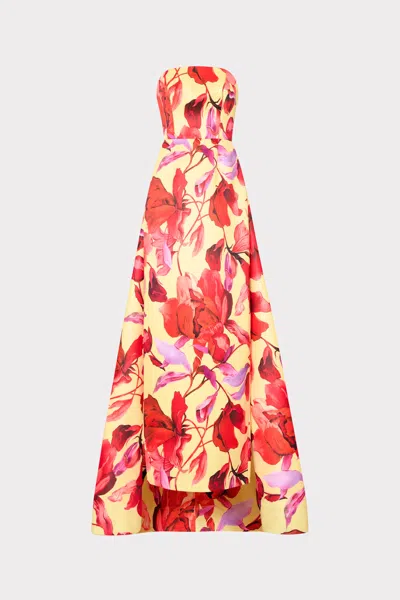 Milly Dorothy Printed Taffeta Maxi Dress In Multi