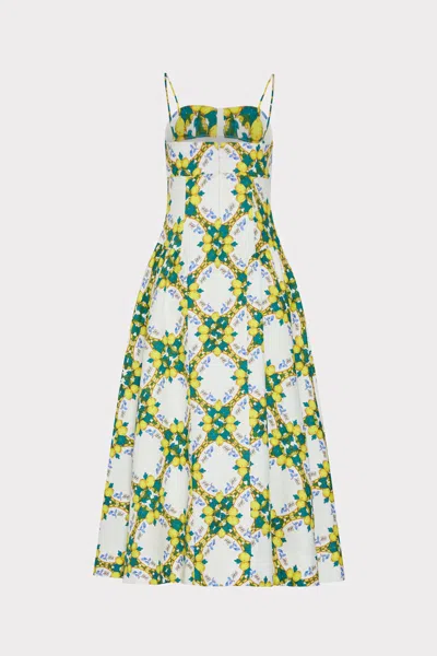 Milly Illy Livna Printed Maxi Dress In Multi