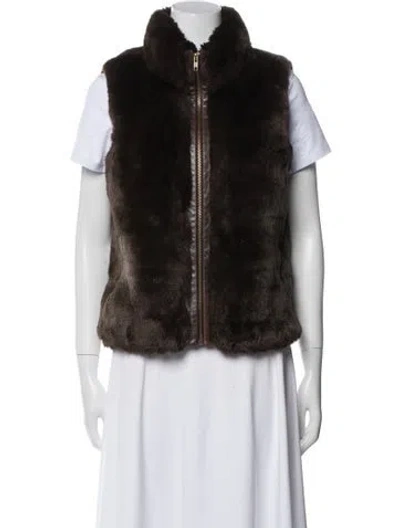 Pre-owned Milly Leather Fur Jacket In Brown