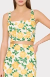Milly Illy Mel Embroidered Sleeveless Top In Multi