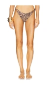 Milly Niki Leopard O-ring Bikini Bottom In Multi